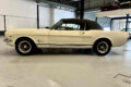 <h1>FORD MUSTANG GT 289 1966 CABRIOLET BOITE MANUELLE 5</h1>